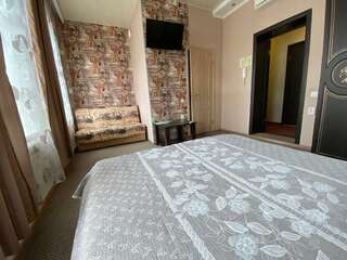 Гостевой дом Сити-Отель Курган Двухместный номер Делюкс с 1 кроватью-3